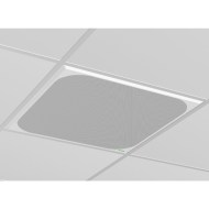 CM50 Dante Tavan Erişim Noktası 5m Menzilli Beamforming ile