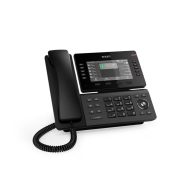 D815W Masaüstü IP Telefon WiFi Erişim Noktası Etiketli