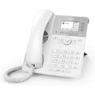 D717-B Ekonomik Profesyonel IP Telefonu Smartlabel ve Işık Sensörü ile